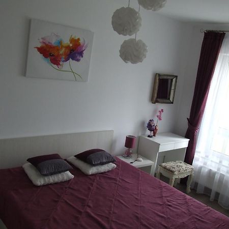 Anca Apartment Braşov Buitenkant foto