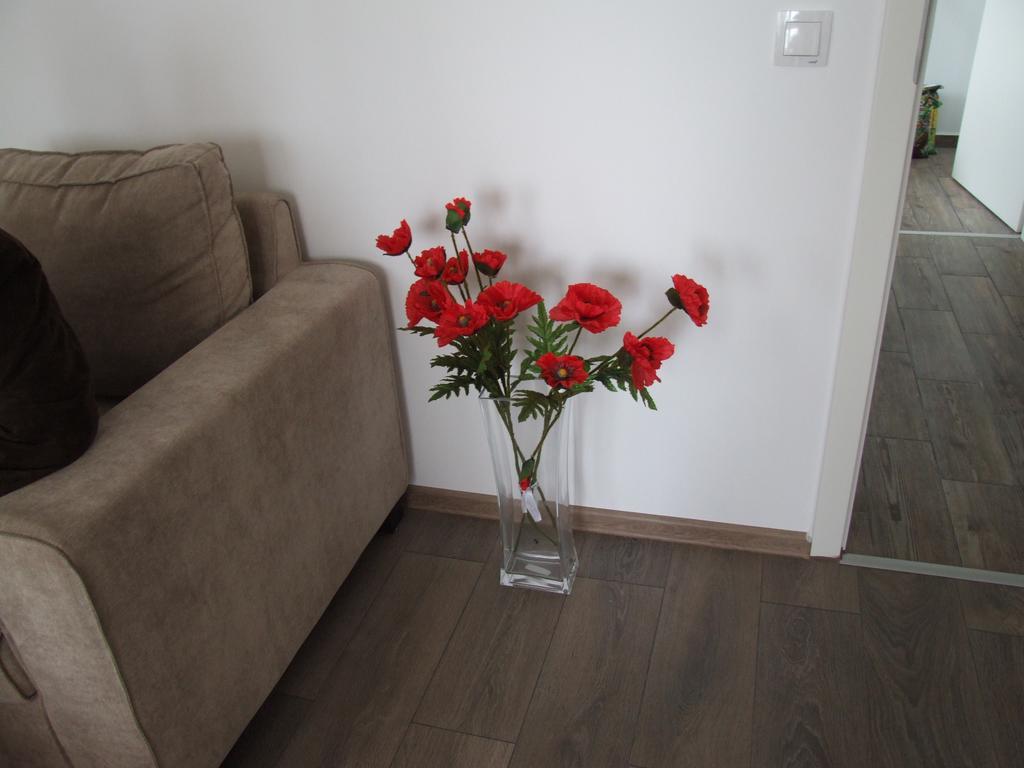 Anca Apartment Braşov Buitenkant foto