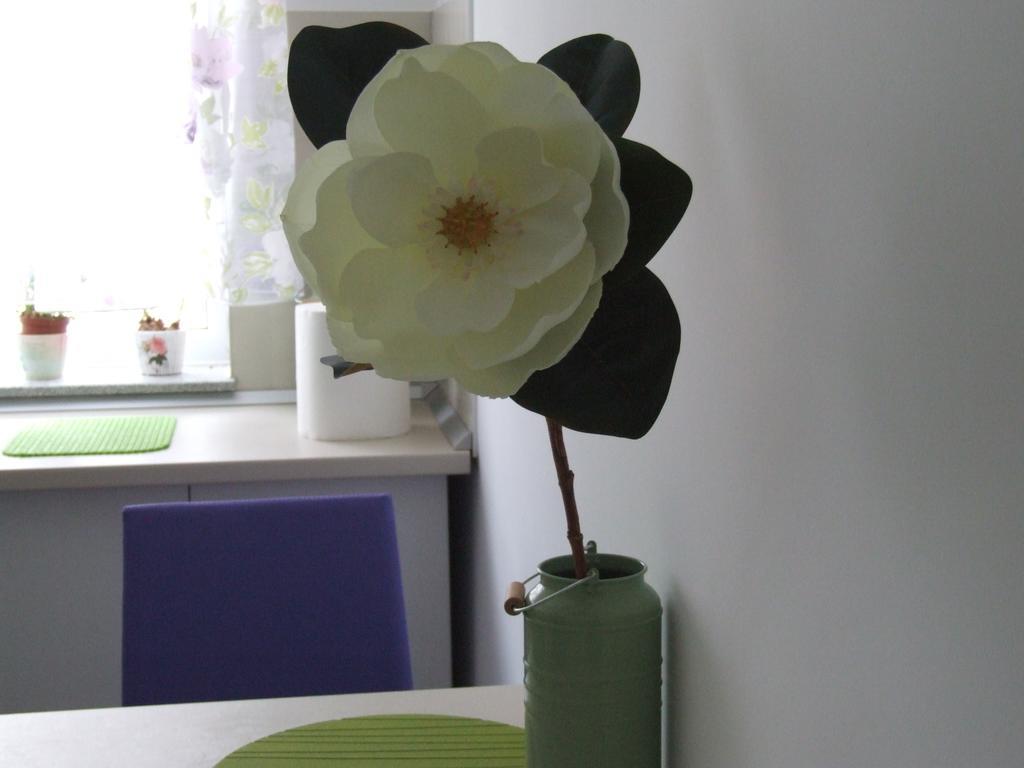 Anca Apartment Braşov Buitenkant foto
