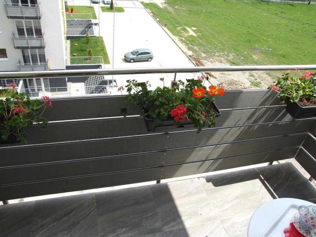 Anca Apartment Braşov Buitenkant foto