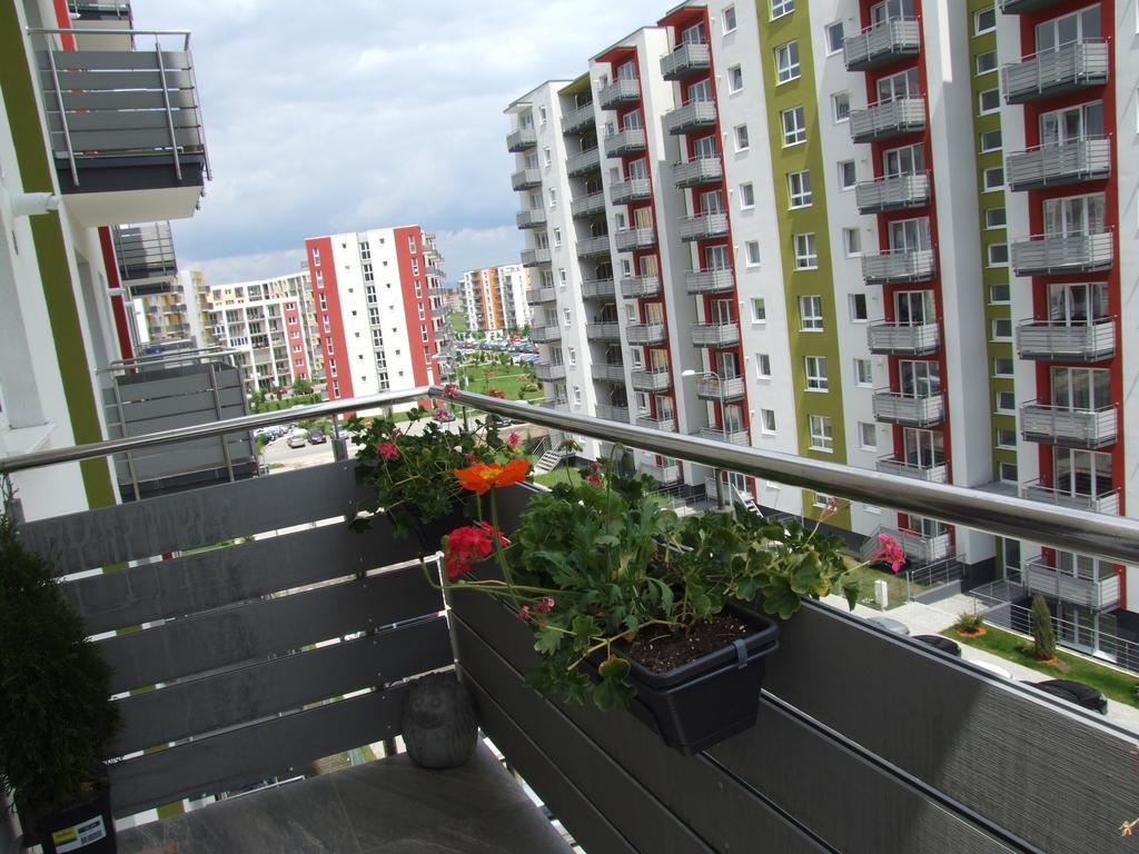 Anca Apartment Braşov Buitenkant foto